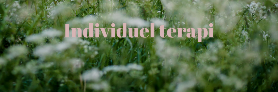 Individuel terapi